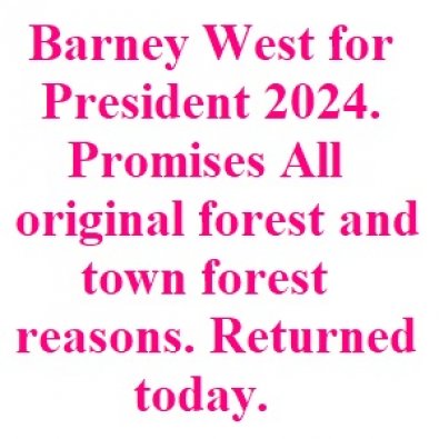 All original forest and town forest reasons. Returned today.