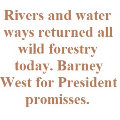Rivers and water ways returned all wild forestry today. Barney West for President promisses.
